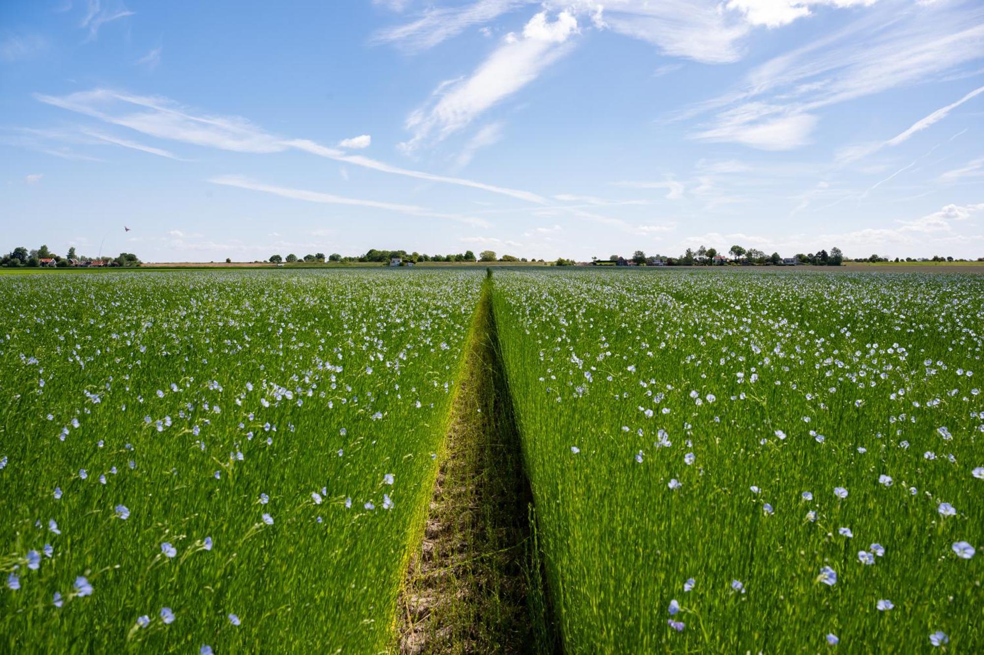 Landgoed Oud Bommenede * Zonnemaire